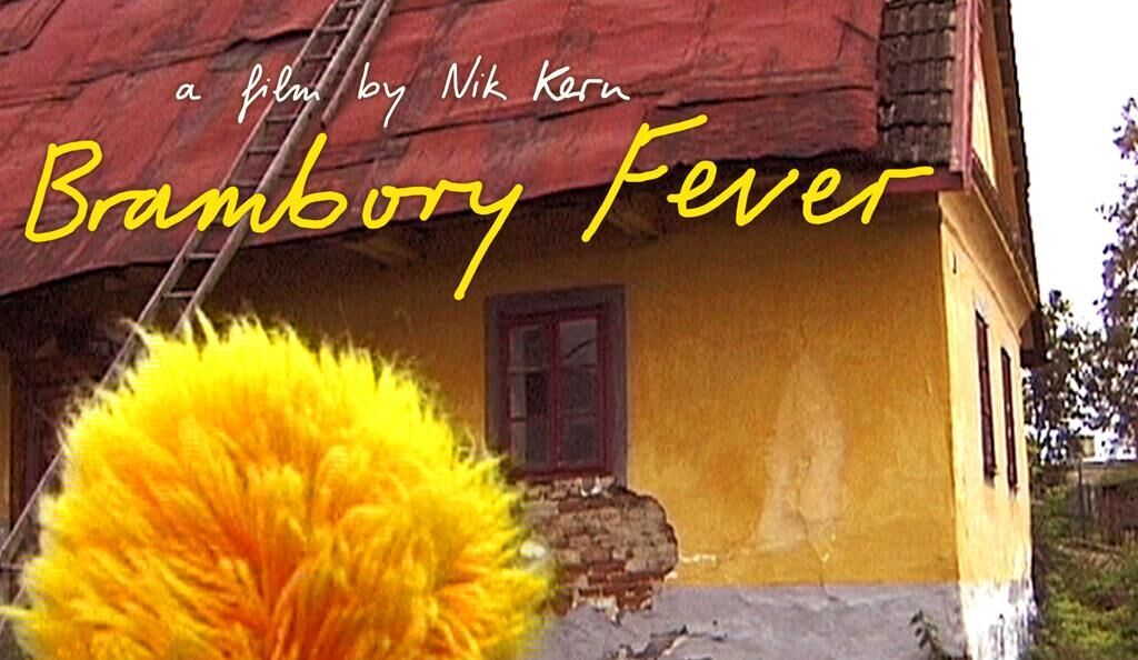 Titelbild des Projekts Brambory Fever 