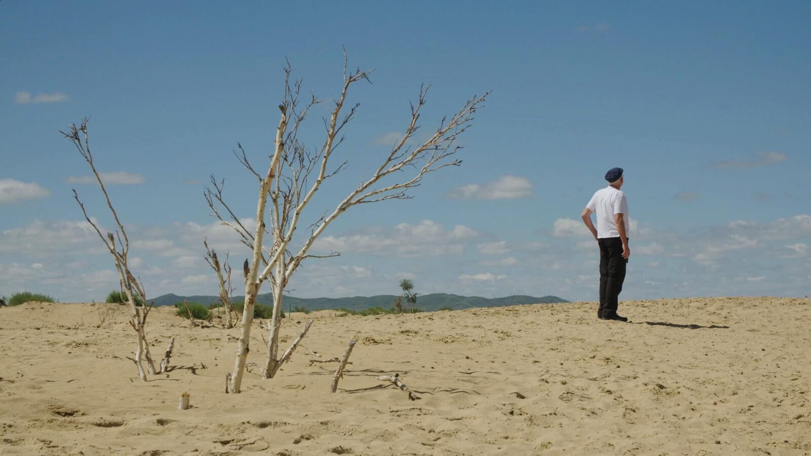 Galeriebild des Projekts Der Wind der Heimat