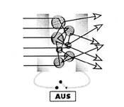 Galeriebild des Projekts Dreierwette