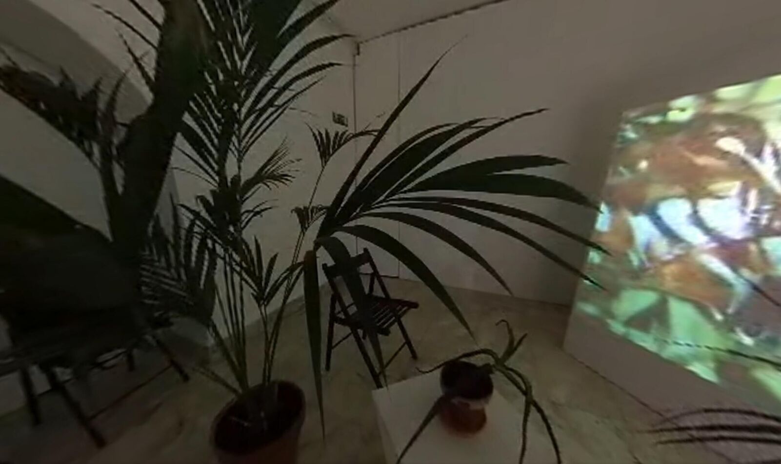 Galeriebild des Projekts Svan/Nectar 