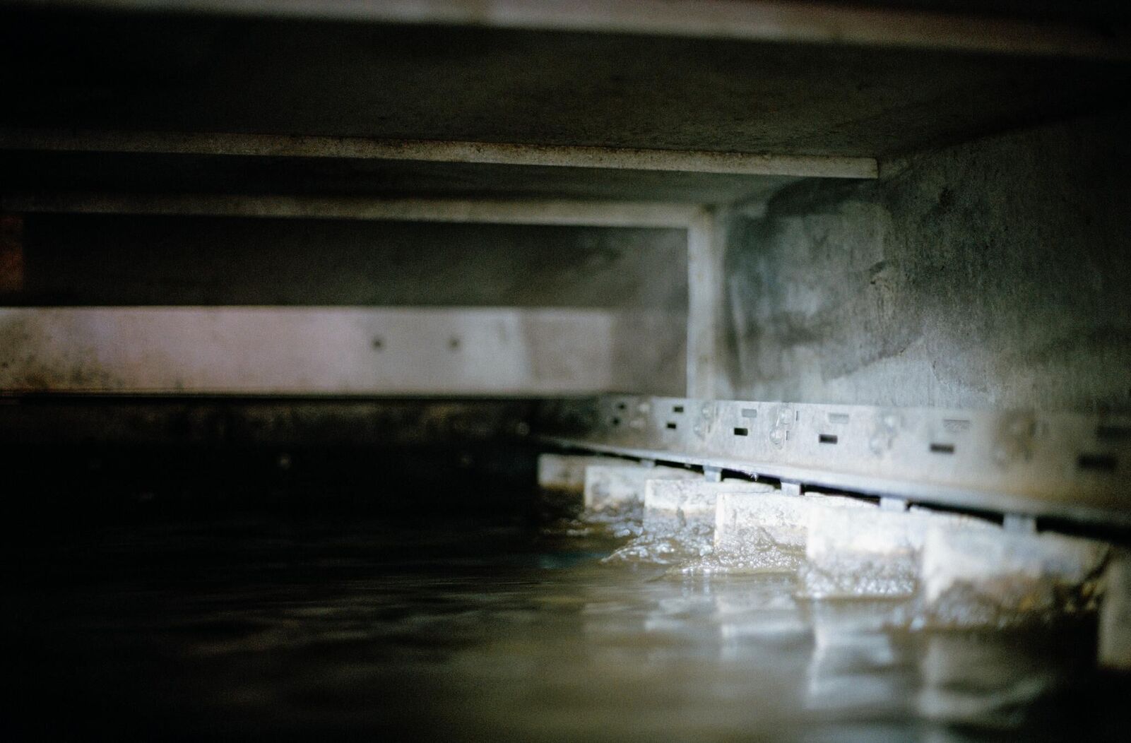 Galeriebild des Projekts It Is the Water Flowing that Makes the Sound