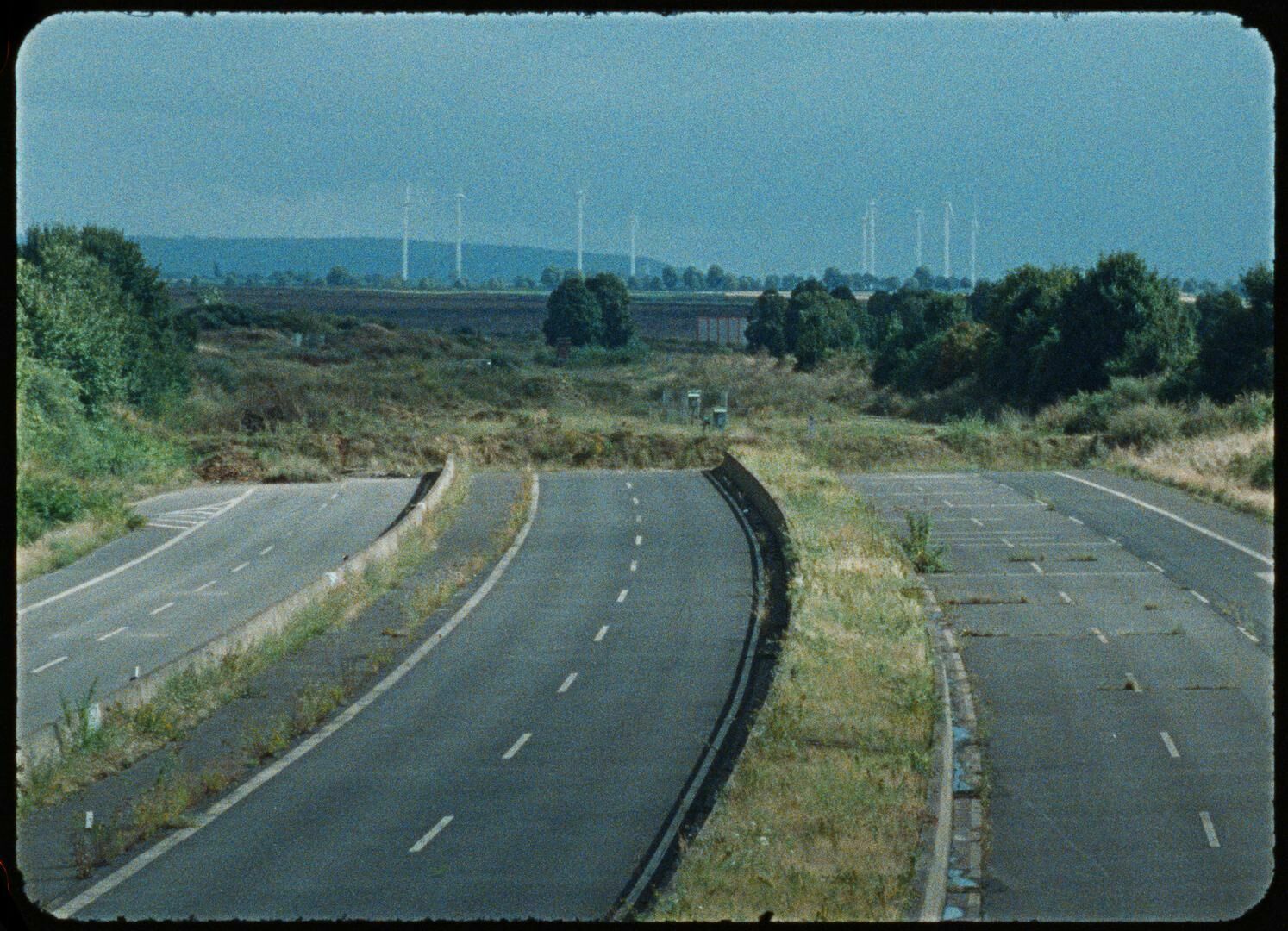 Galeriebild des Projekts Hang am Baum