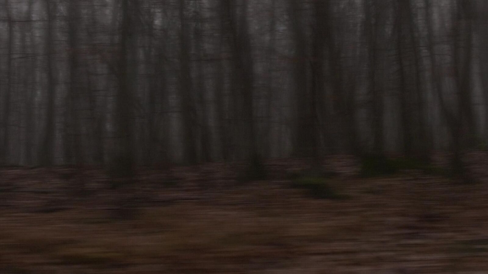 Galeriebild des Projekts Mazurka