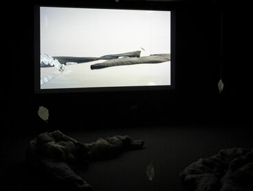 Blanca Barbat, Diplom