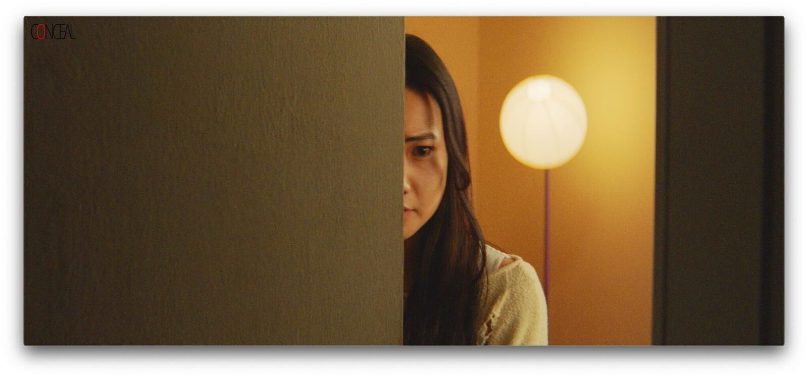 Galeriebild des Projekts cOnceal