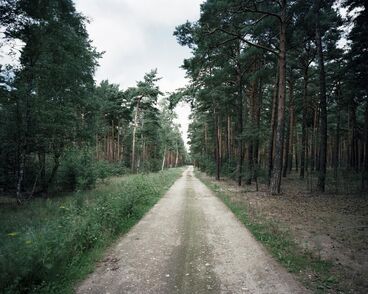 View the scenes: Killingfield Galeriebild des Projekts View the scenes: Killingfield
