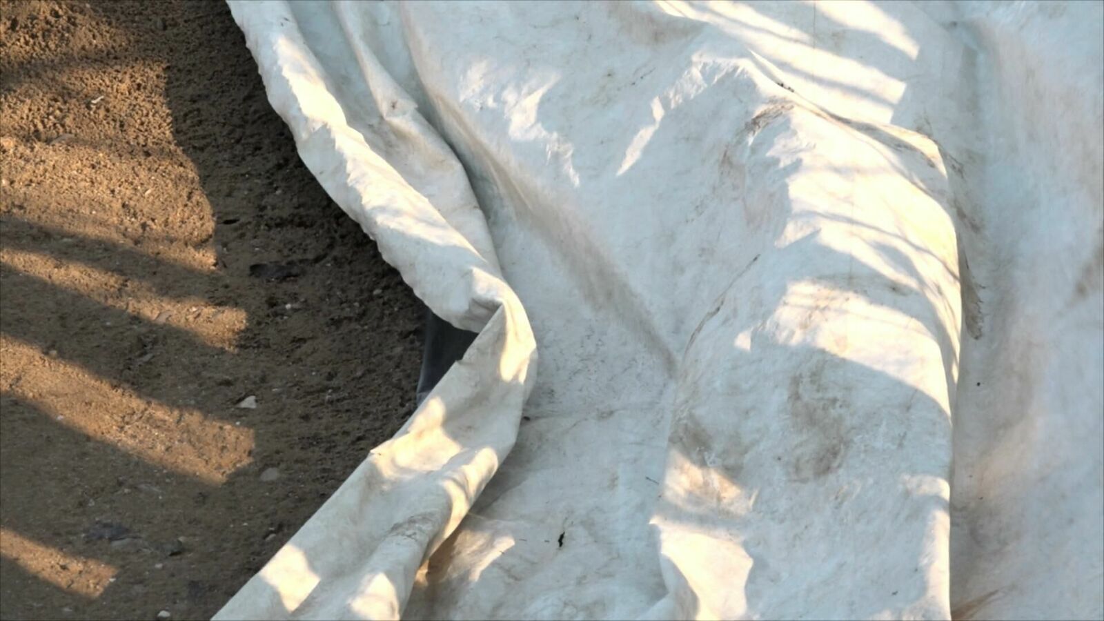 Galeriebild des Projekts Dirt