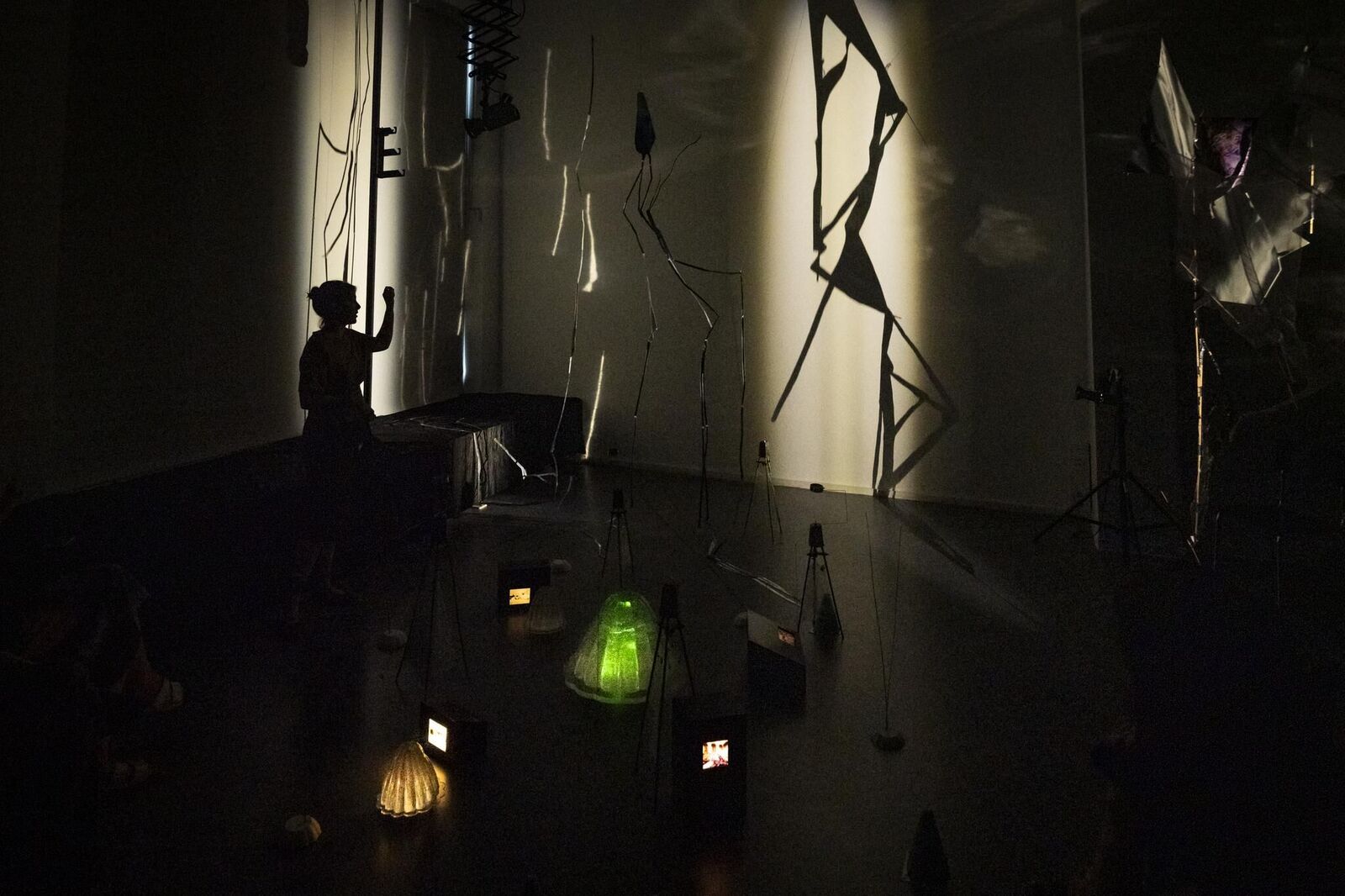 Galeriebild des Projekts Pasajera Nocturna