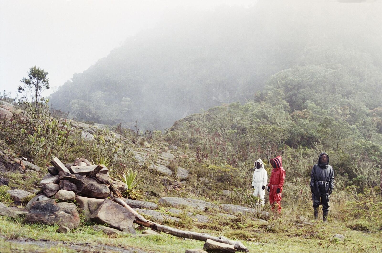 Titelbild des Projekts Solaris 