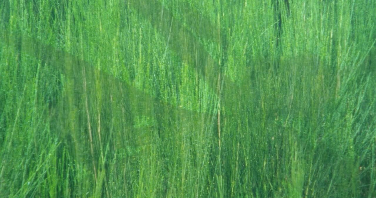 Galeriebild des Projekts Rough & Smooth