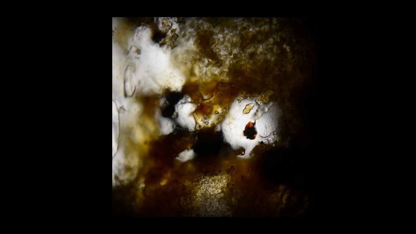 Titelbild des Projekts Der Körperflicker 4