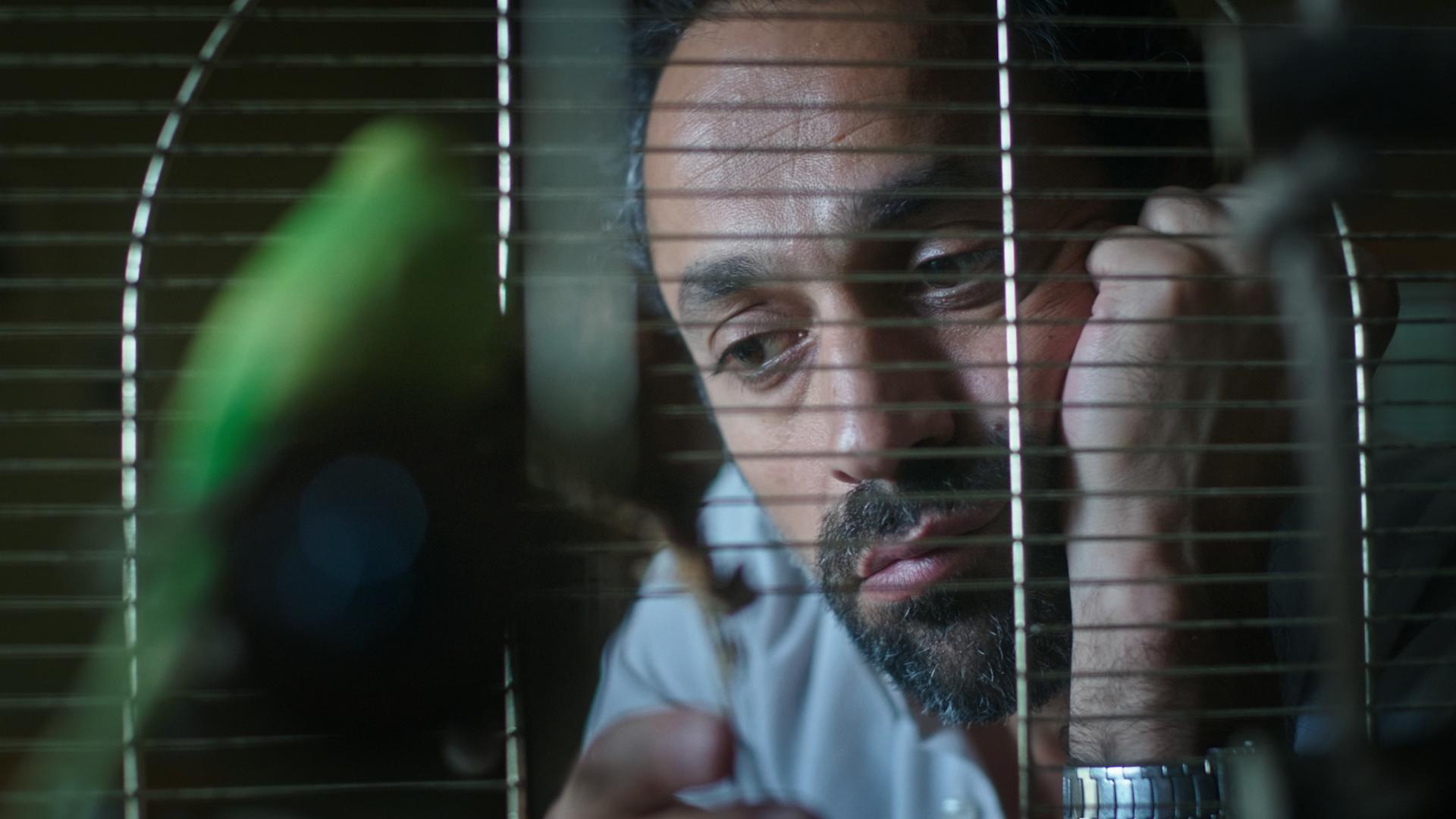 Galeriebild des Projekts BITTER