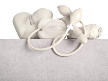 Nature Morte Galeriebild des Projekts Nature Morte