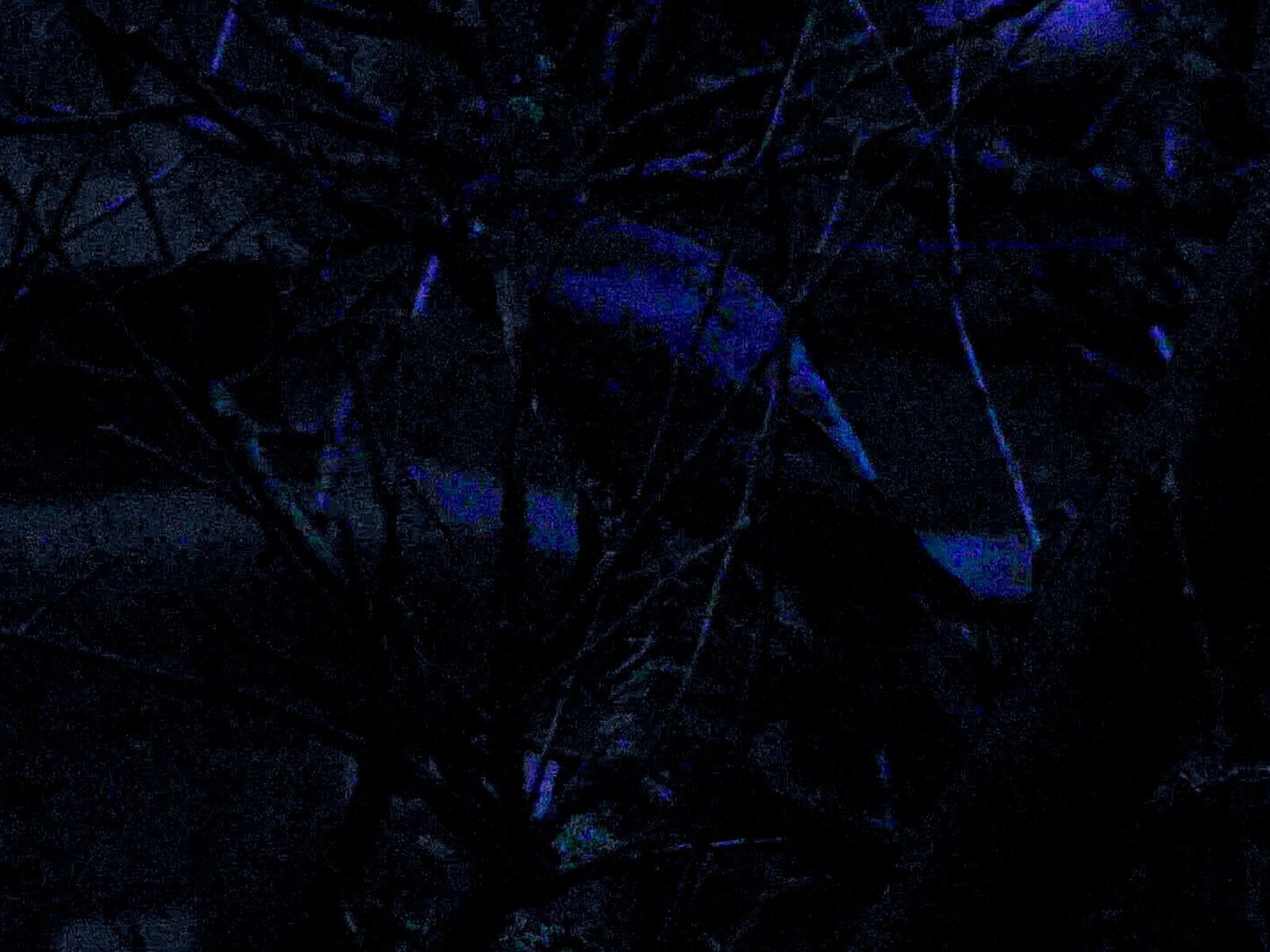 Galeriebild des Projekts Sensitivity in Low Light Conditions