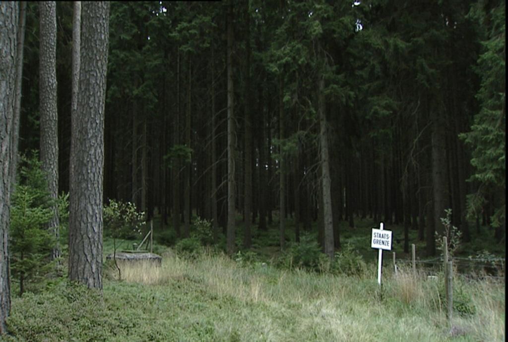 Galeriebild des Projekts Zeit ohne Eltern