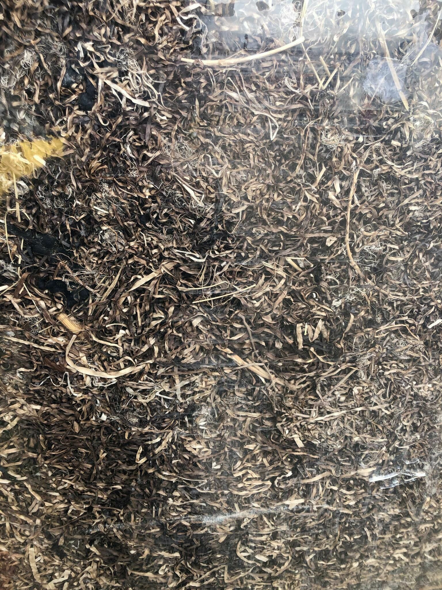 Galeriebild des Projekts Kollektives Klopfen