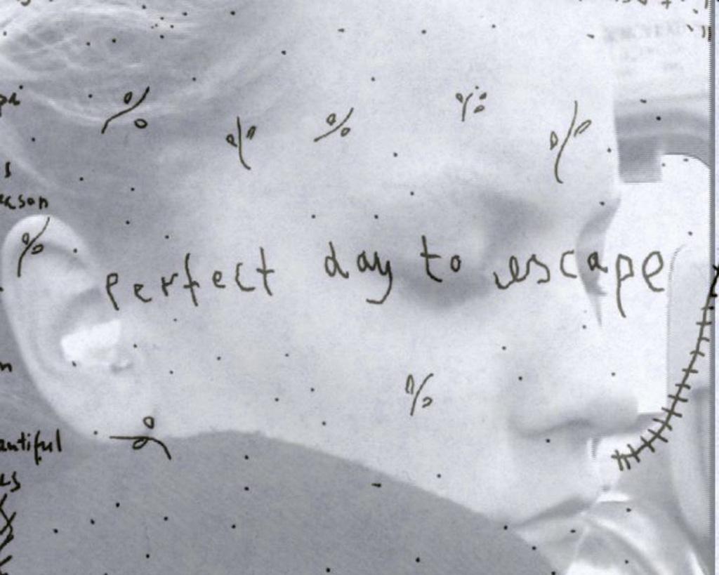 Titelbild des Projekts Perfect Day To Escape