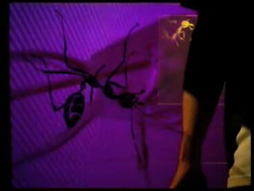 1.ant.ity Galeriebild des Projekts 1.ant.ity