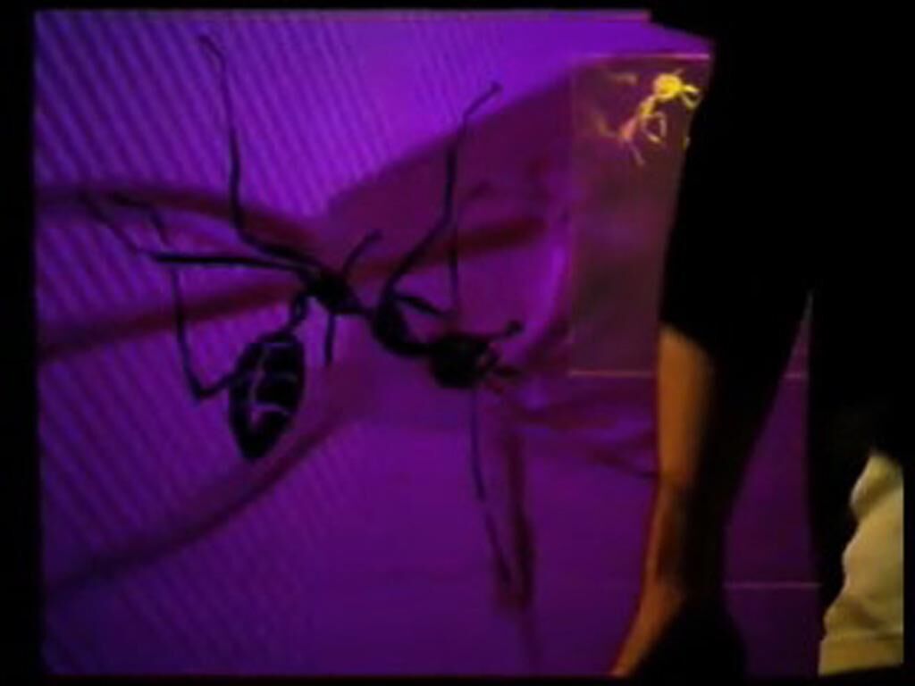 Galeriebild des Projekts 1.ant.ity