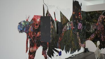 Deaths of despair Titelbild des Projekts Deaths of despair