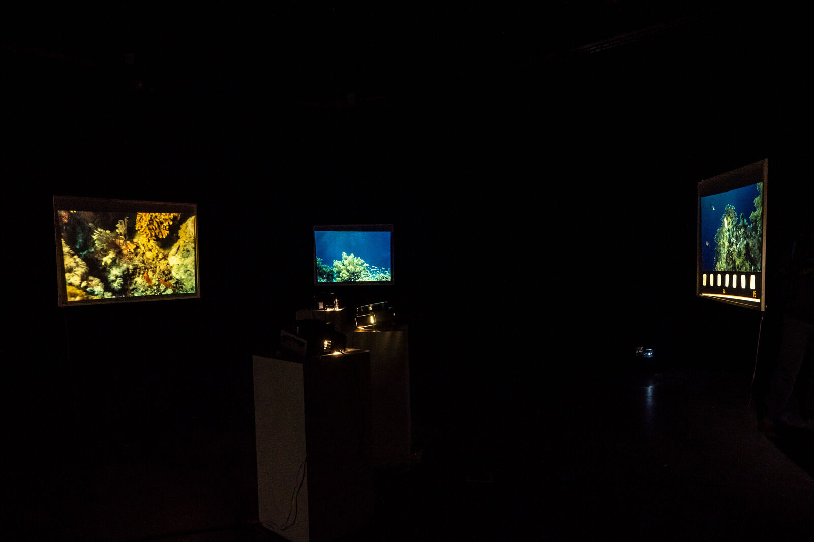 Jannika Lösche – under the sea i hope you'll find me (Diplom)