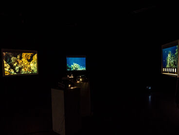 Jannika Lösche – under the sea i hope you'll find me (Diplom) Jannika Lösche – under the sea i hope you'll find me (Diplom)