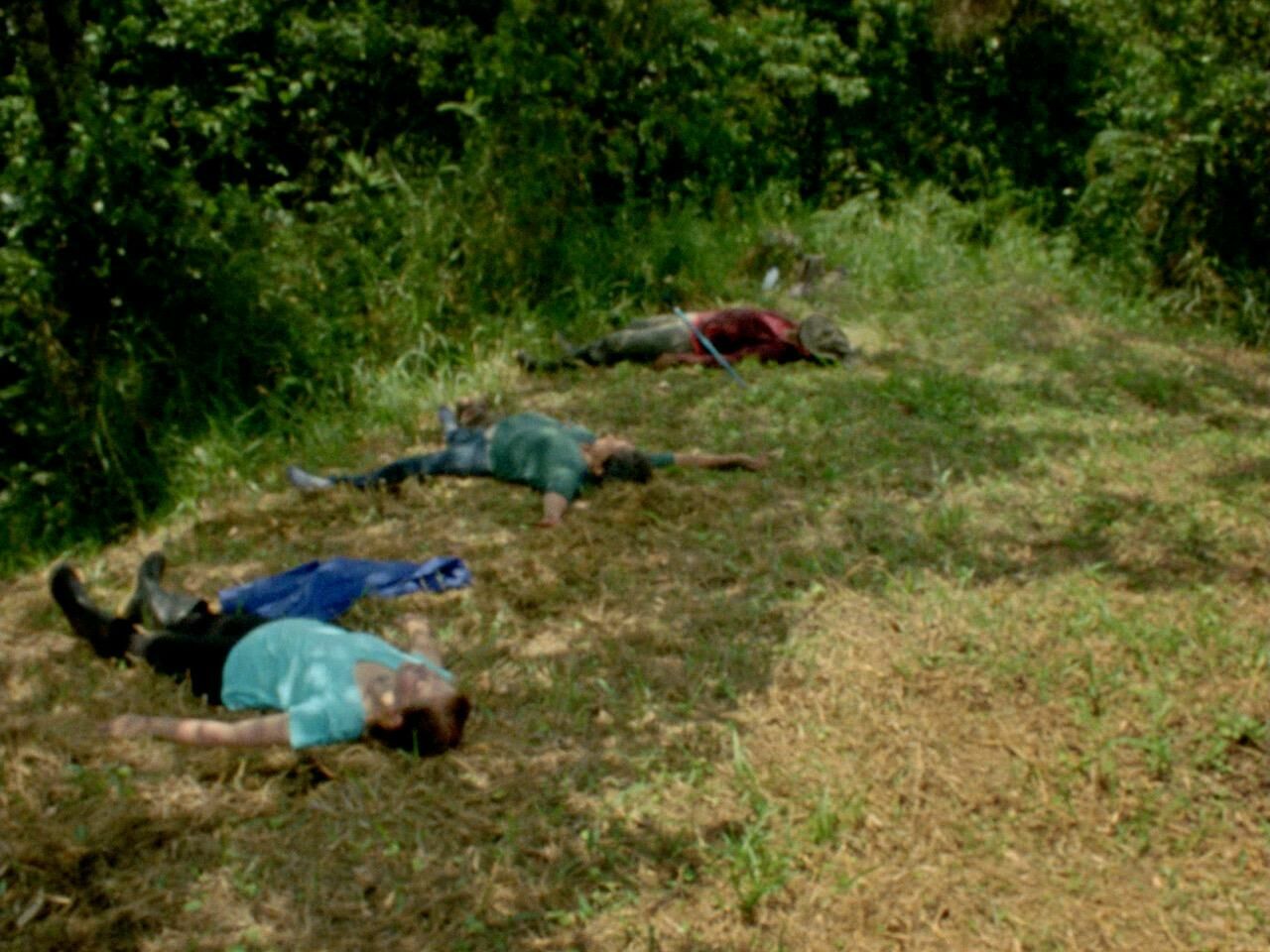 Galeriebild des Projekts Parientes del Valle Luminoso