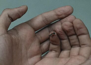 Titelbild des Projekts Restbestand 