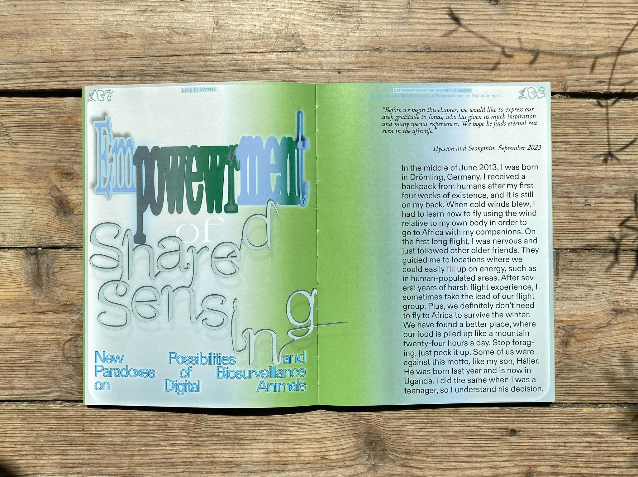 Galeriebild des Projekts Link in Myths