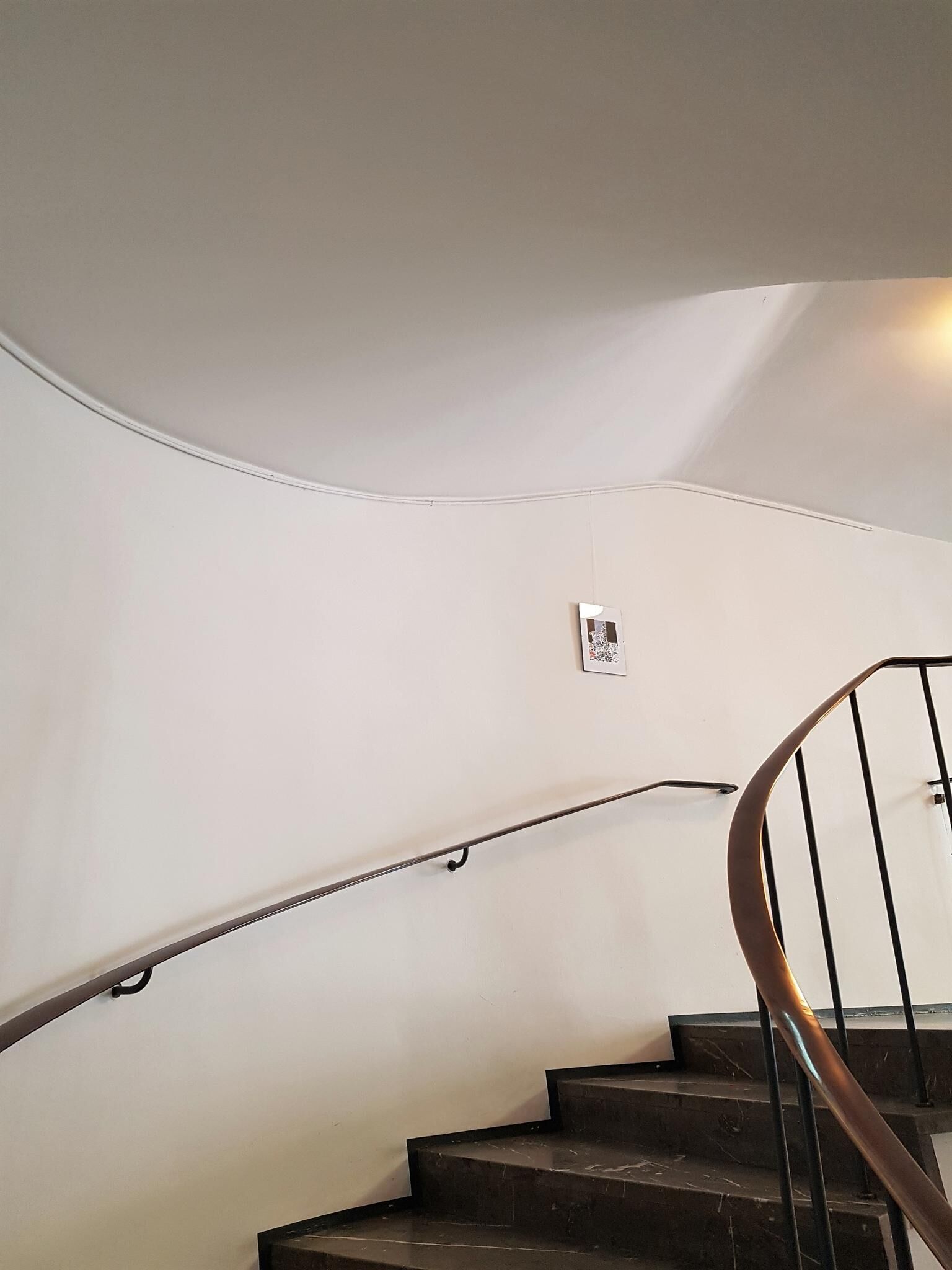 Galeriebild des Projekts Körper und Blumen