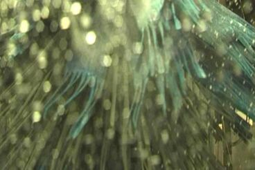 Car Wash Titelbild des Projekts Car Wash