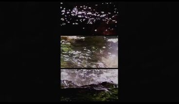 Holzbachschlucht Titelbild des Projekts Holzbachschlucht