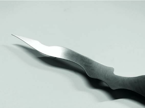 Galeriebild des Projekts Walter Palmer Shot A Lion: The Sequel