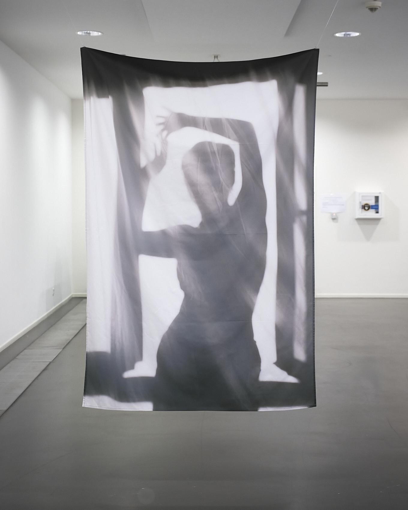 Galeriebild des Projekts “Dear Camera...“