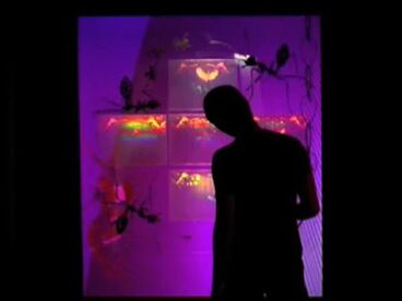1.ant.ity Galeriebild des Projekts 1.ant.ity