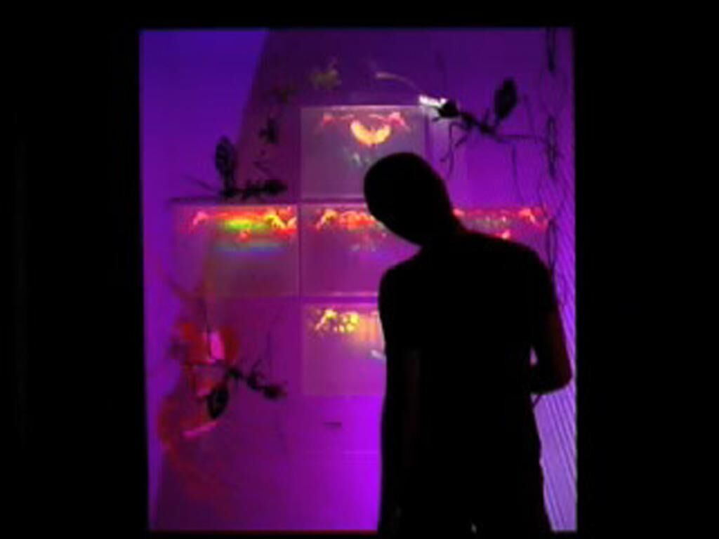 Galeriebild des Projekts 1.ant.ity