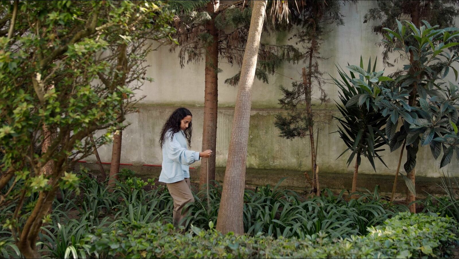 Galeriebild des Projekts تَناثُر البحر (Scattered Sea) 