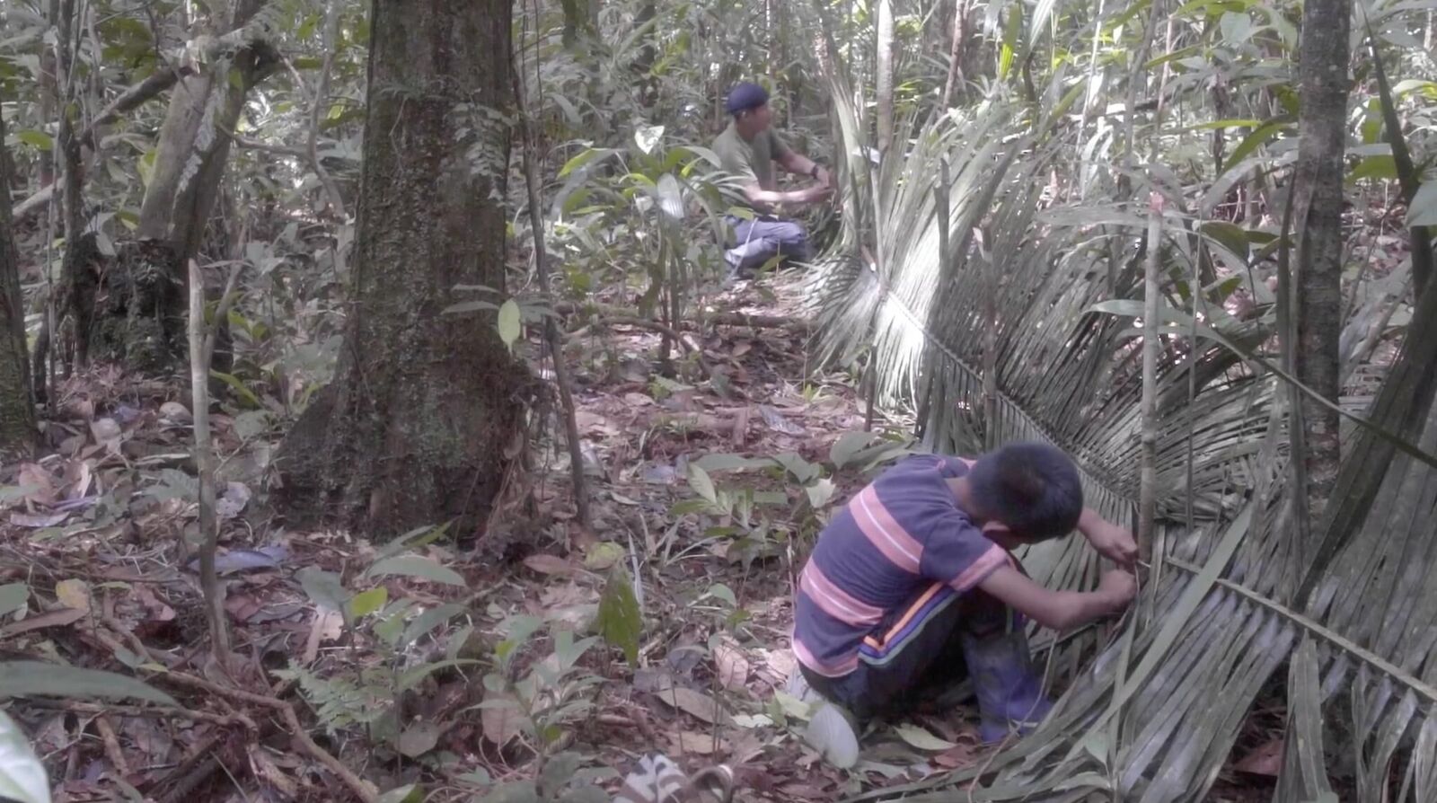 Galeriebild des Projekts Draußen leben