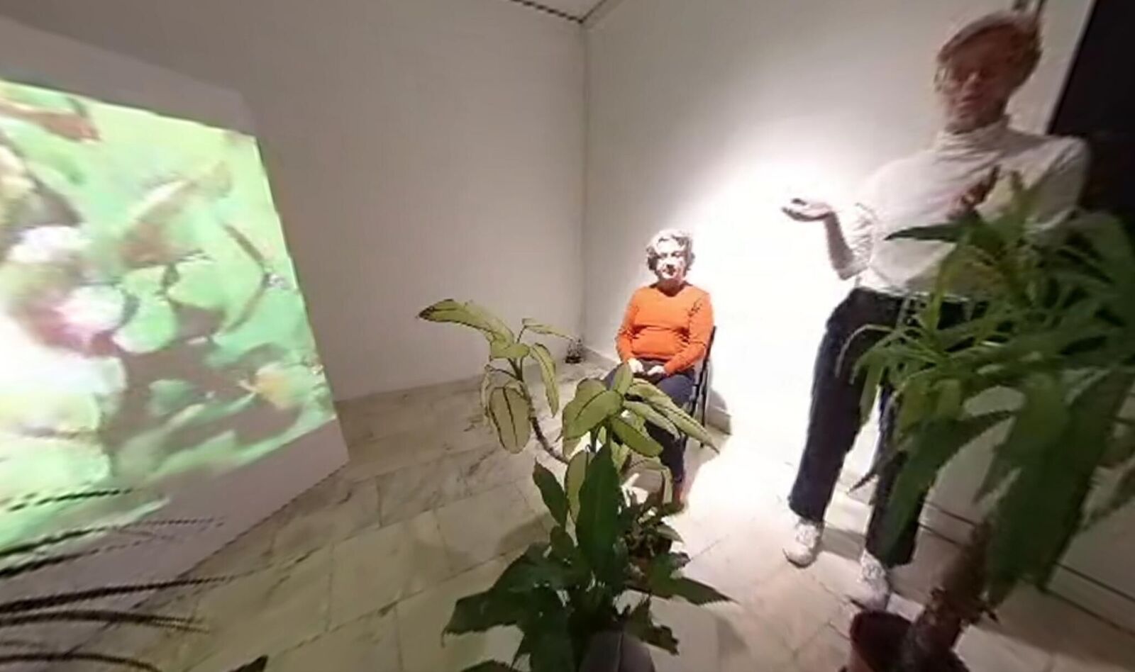 Galeriebild des Projekts Svan/Nectar 