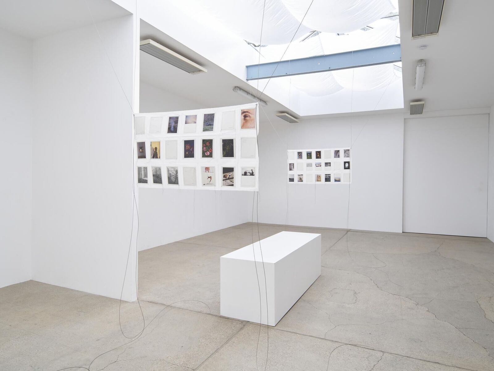 Galeriebild des Projekts IN MY HANDS - Issue 7 - An den Spitzen nur Wurzeln