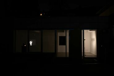 Case #44 MIMIKRY Galeriebild des Projekts Case #44 MIMIKRY