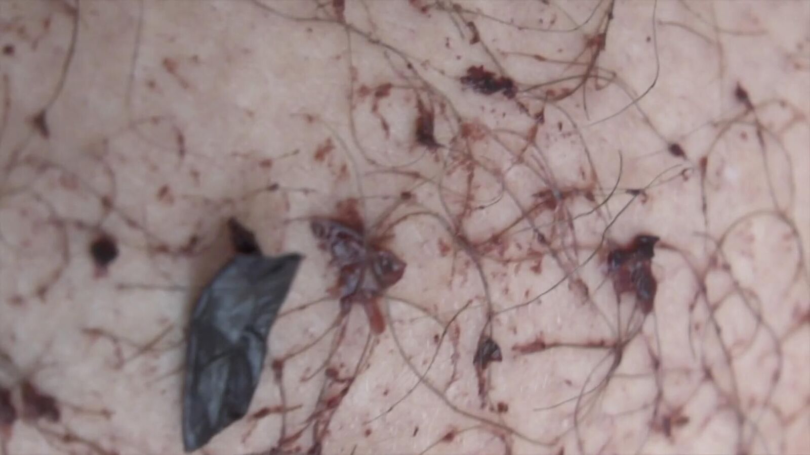 Galeriebild des Projekts Vino Dance