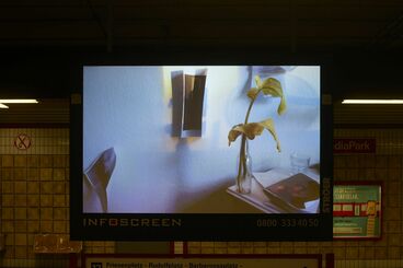 „Stillleben o.T.” von Luise Flügge Galeriebild des Projekts Public Space Video