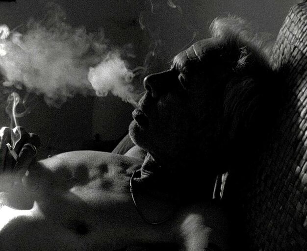 Titelbild des Projekts Cigaretta mon Amour