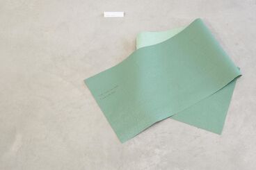 Galeriebild des Projekts Archives & Butterflies