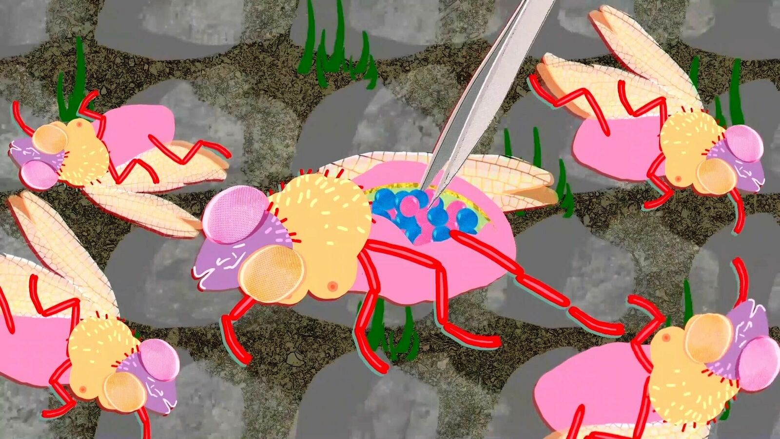 Galeriebild des Projekts The city of ladies