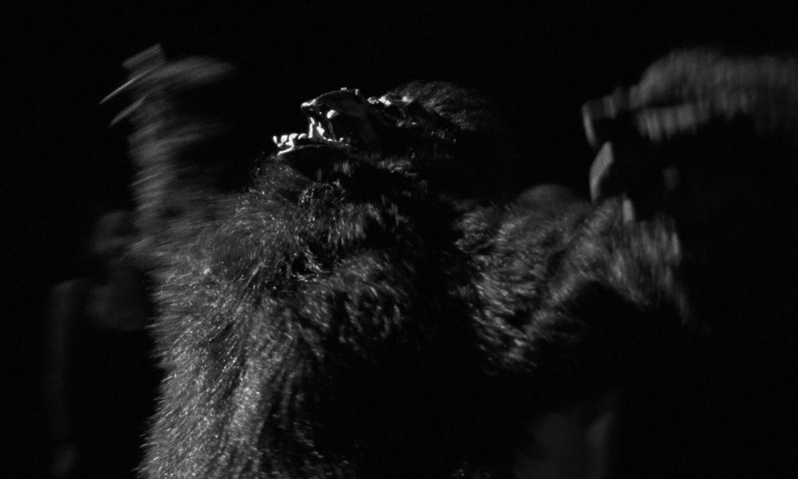 Galeriebild des Projekts POSTKIDS