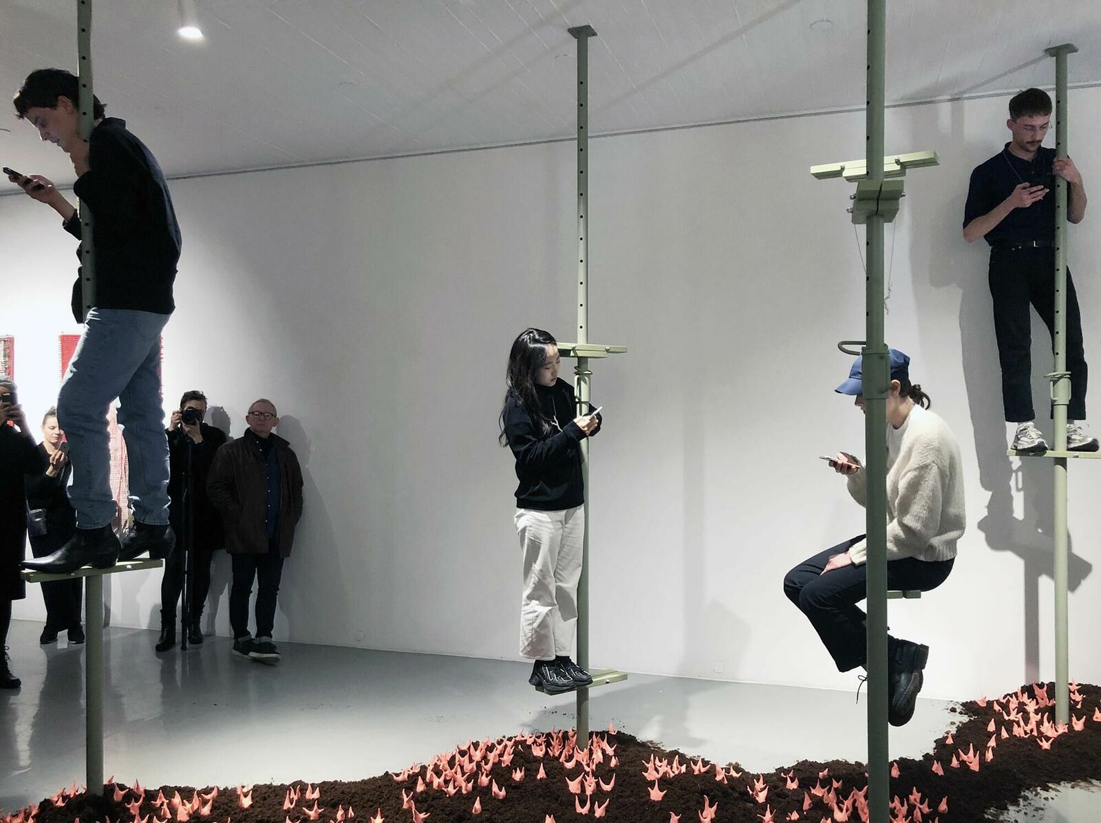 Galeriebild des Projekts Walter Palmer Shot A Lion: The Sequel