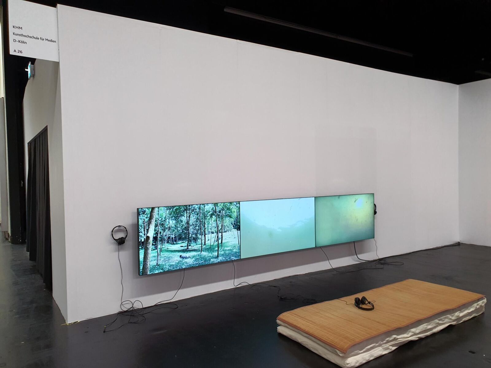 Galeriebild des Projekts Crimson Sap Flowing Through My Veins