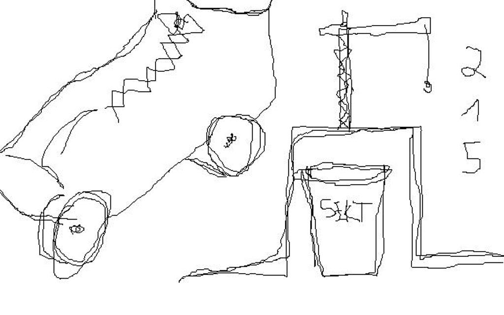 Titelbild des Projekts Das schwarze Schwan